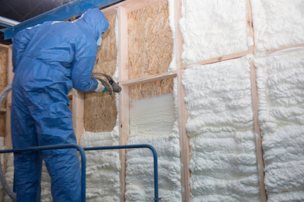 Best Thermal Imaging for Insulation Gaps  in Belcourt, ND